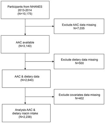 Association between dietary niacin intake and abdominal aortic calcification among the US adults: the NHANES 2013–2014